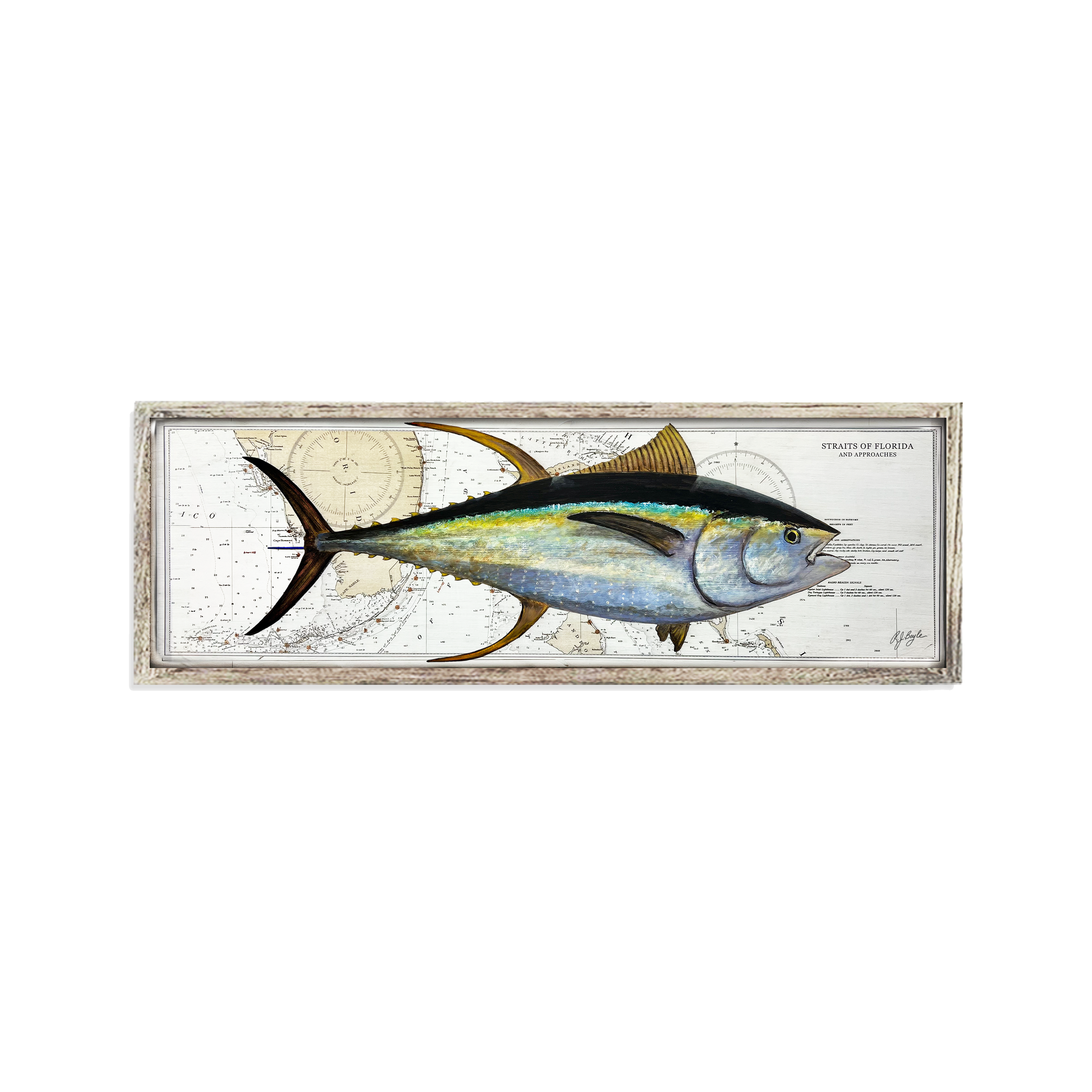 Yellowfin Tuna Biological: Straits of Florida