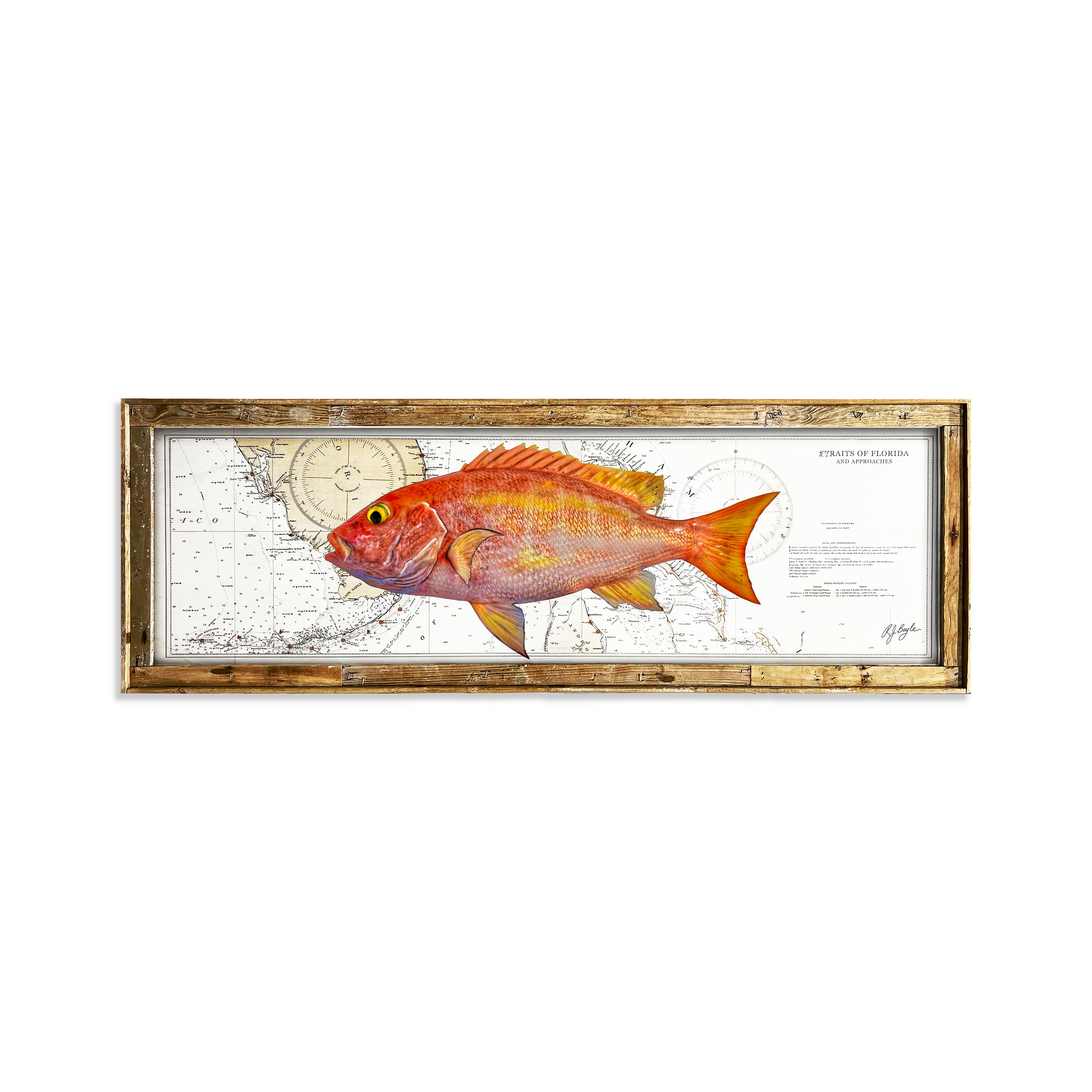 Yellow Eye Snapper Biological: Straits of Florida