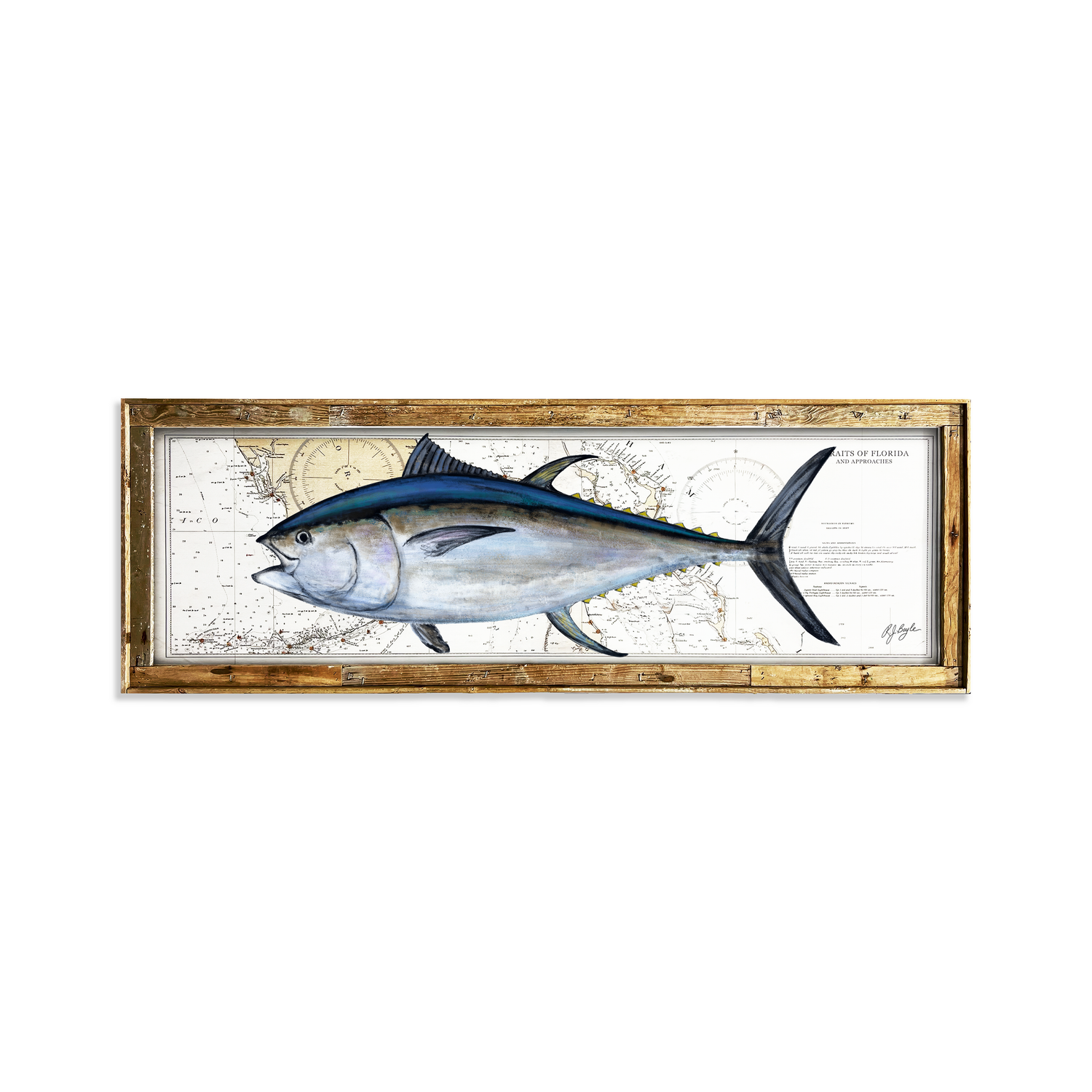 Bluefin Tuna Biological: Straits of Florida