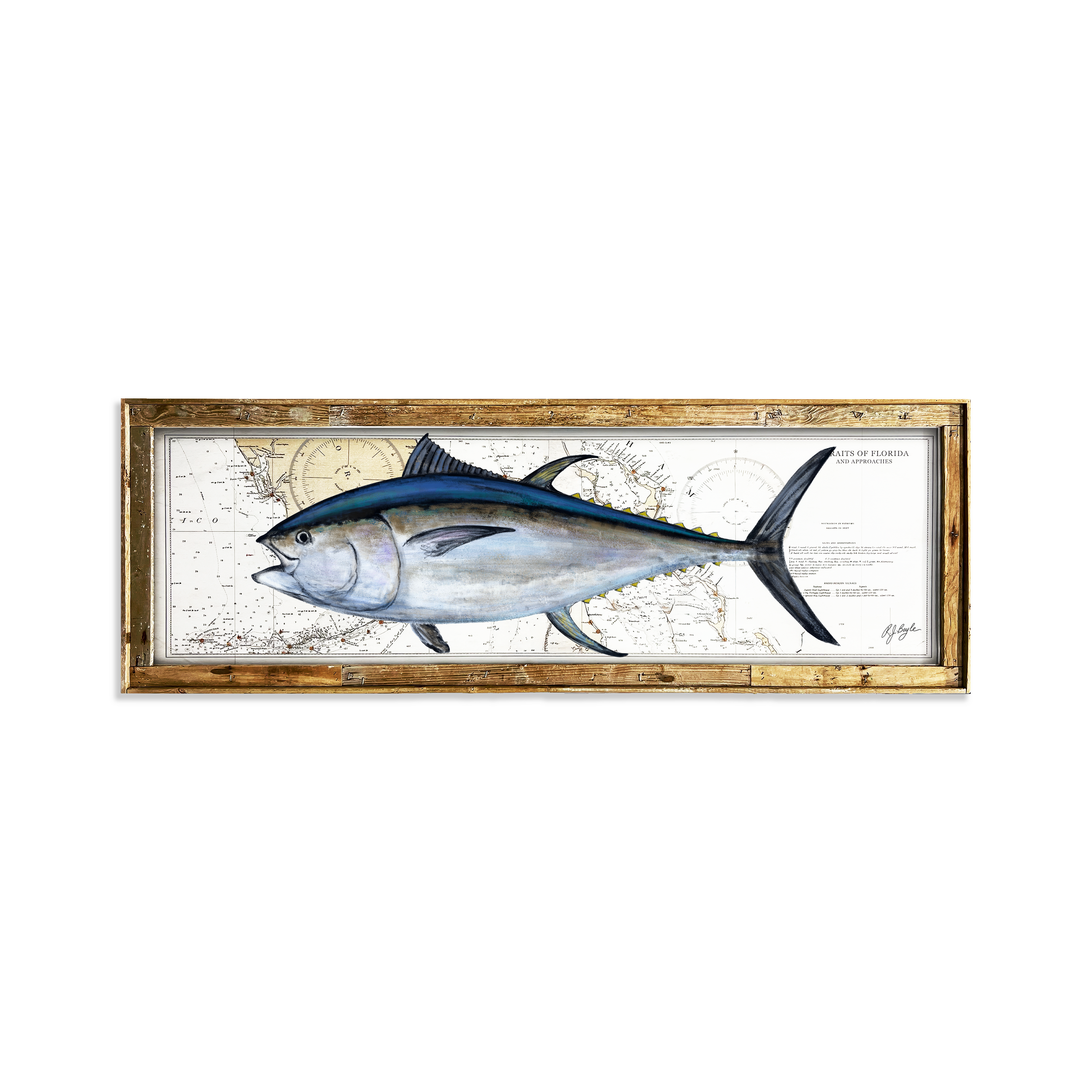 Bluefin Tuna Biological: Straits of Florida