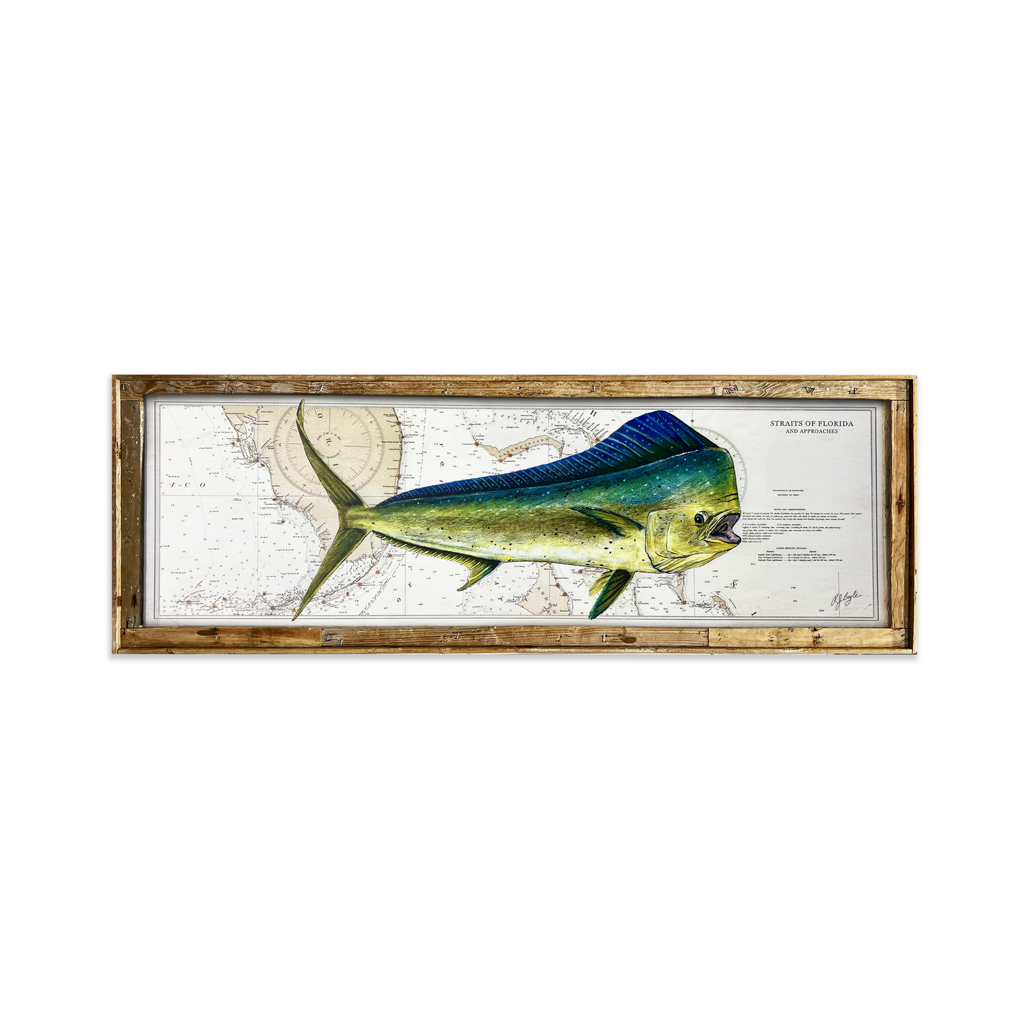 Mahi Mahi Biological: Straits of Florida