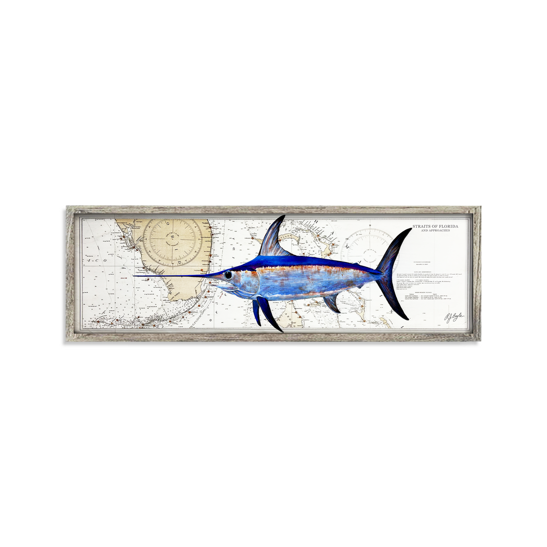 Swordfish Biological: Straits of Florida