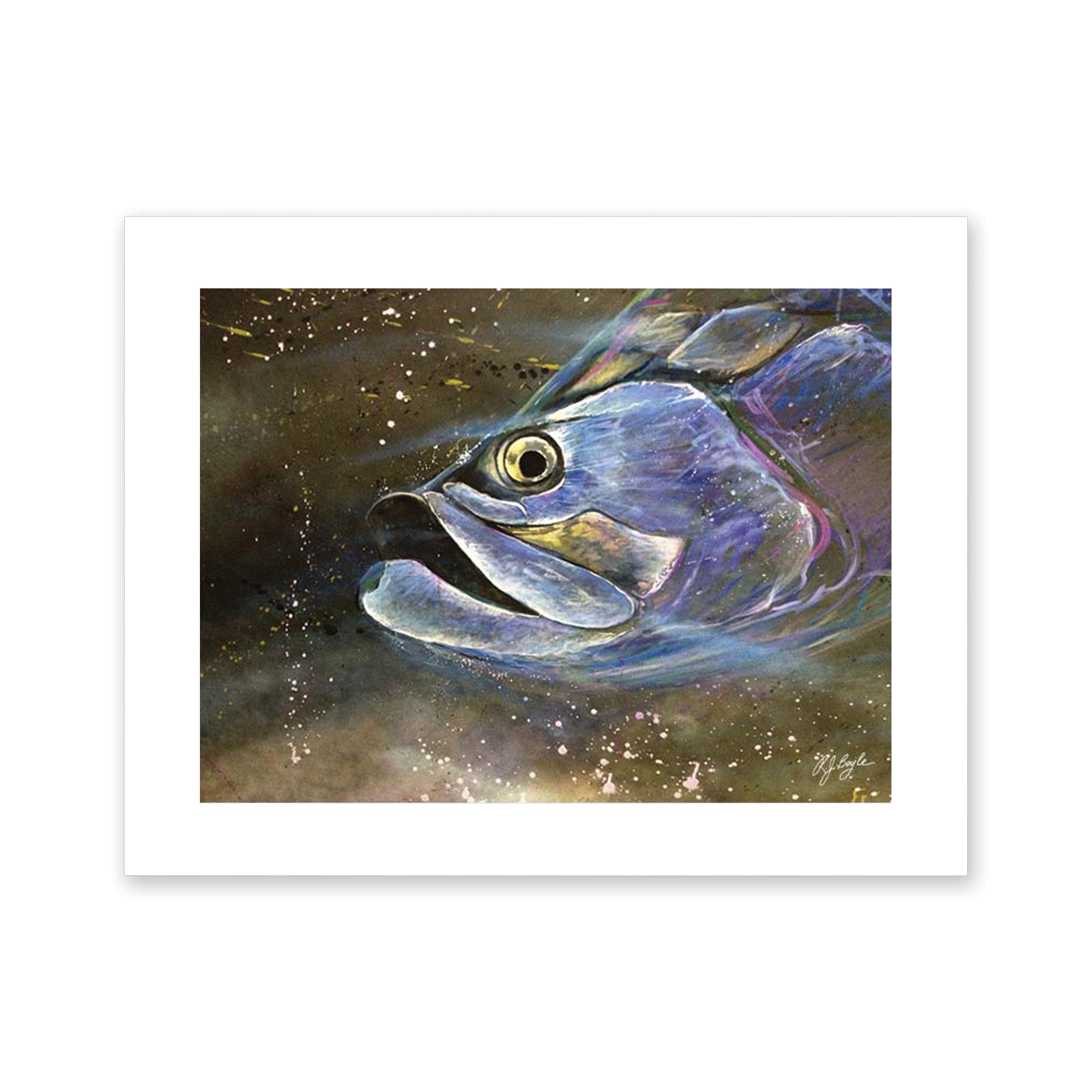 Tarpon