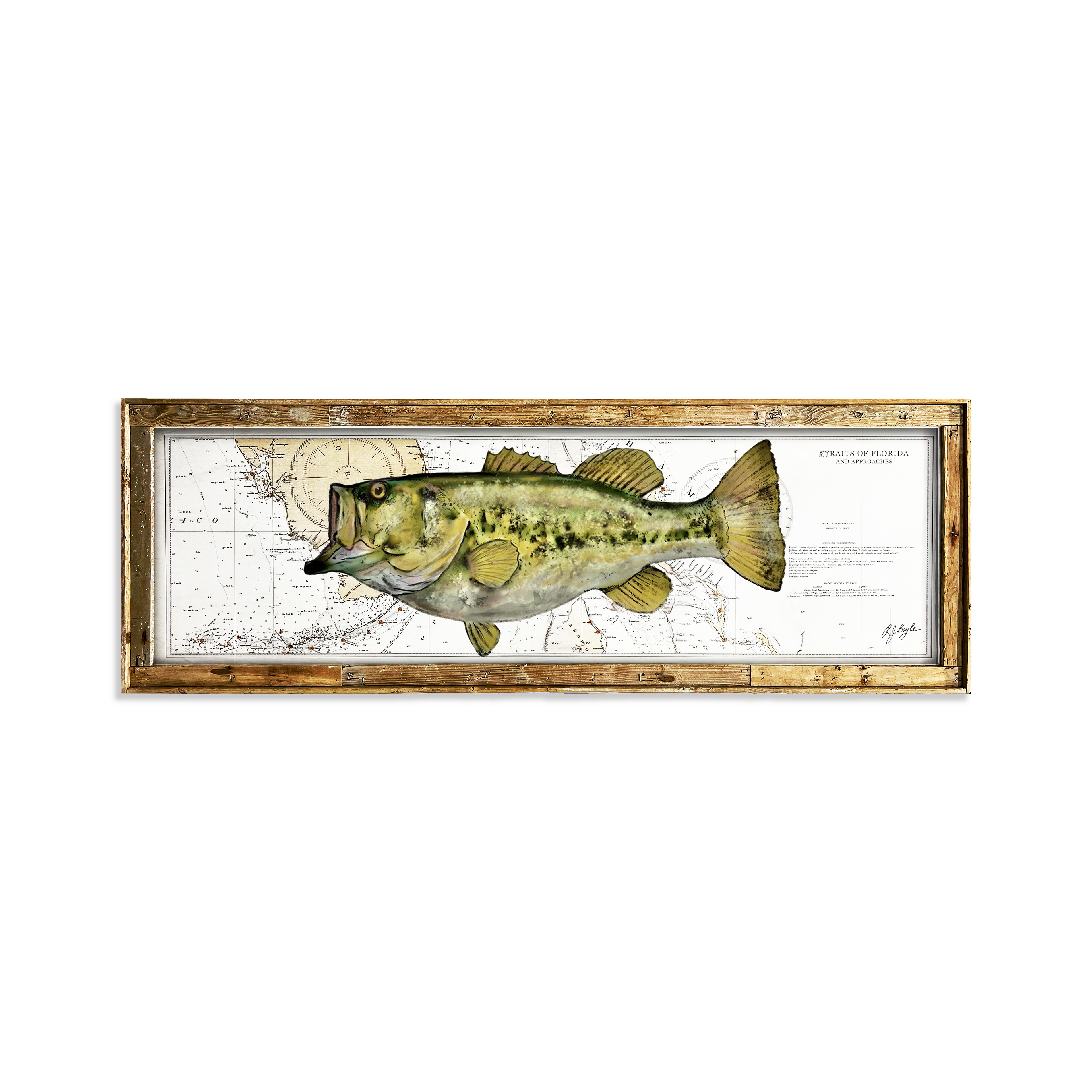 Largemouth Bass Biological: Straits of Florida