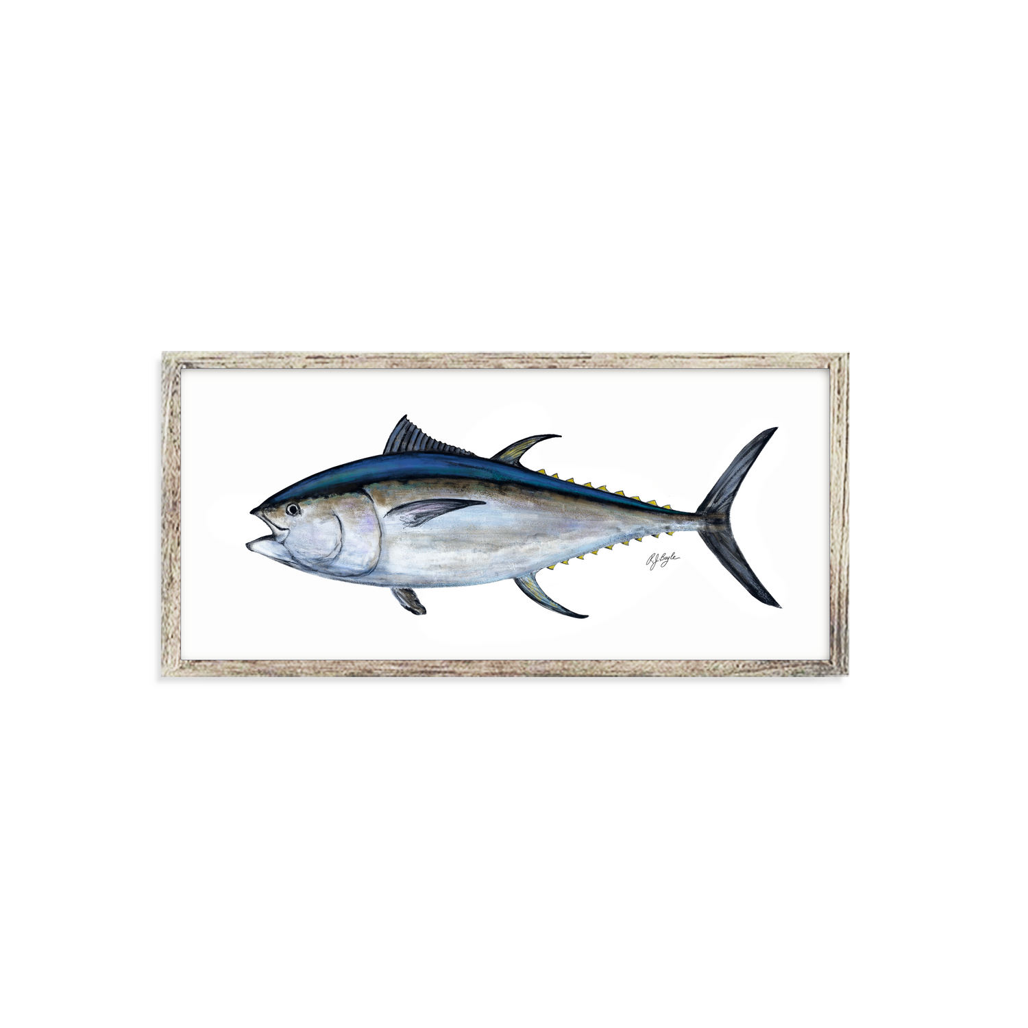 Bluefin Tuna Biological