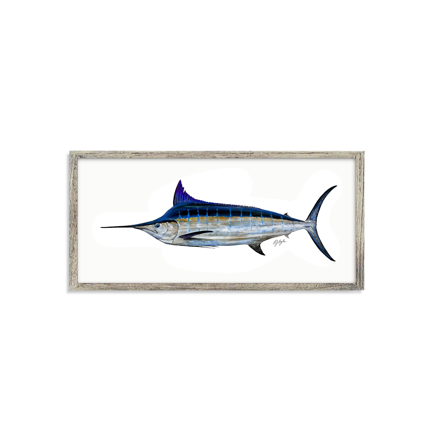 Blue Marlin Biological