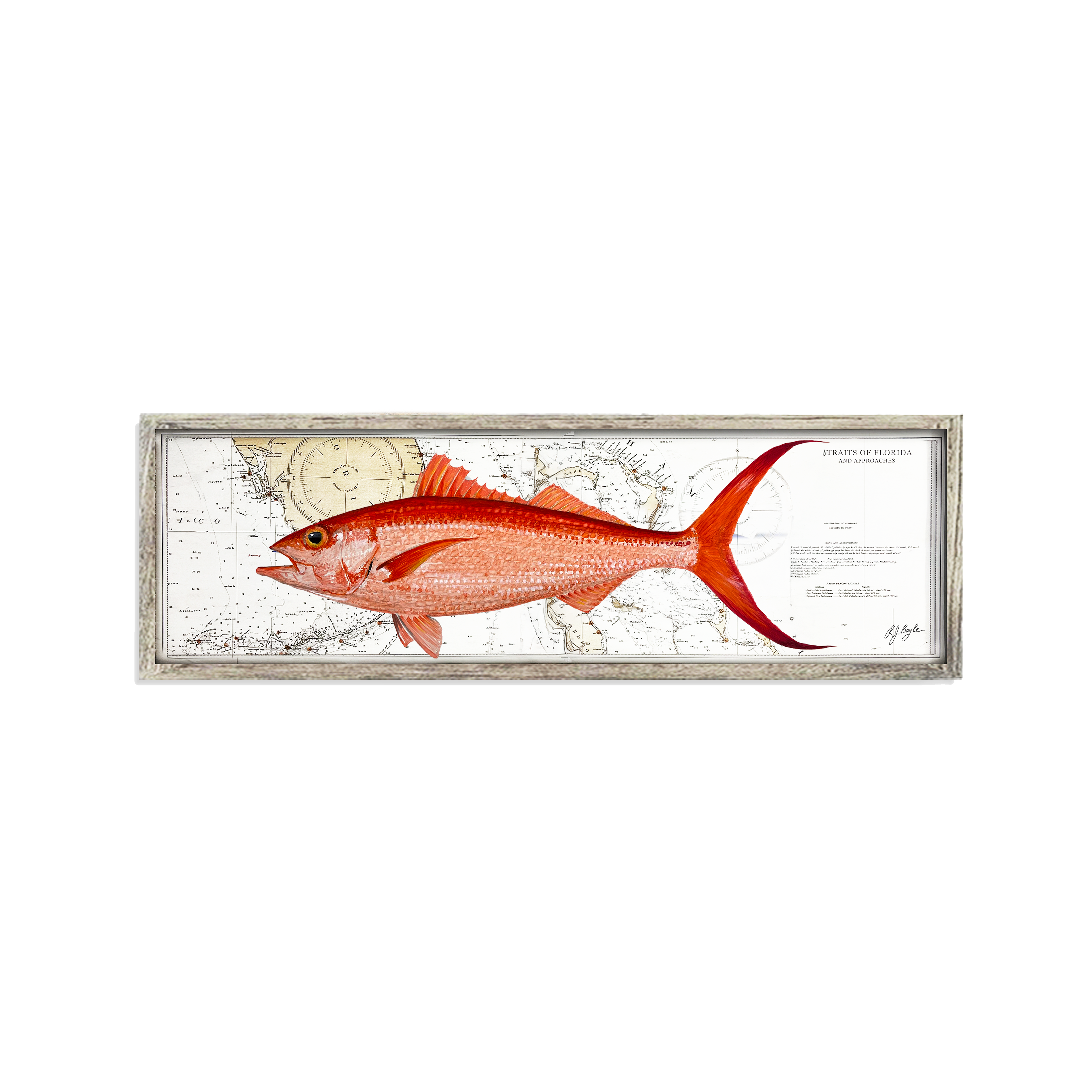 Queen Snapper Biological: Straits of Florida