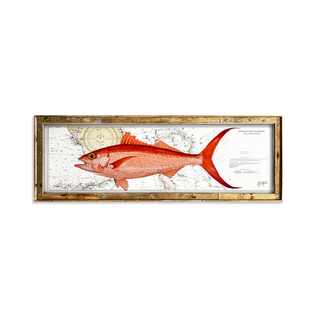 Queen Snapper Biological: Straits of Florida