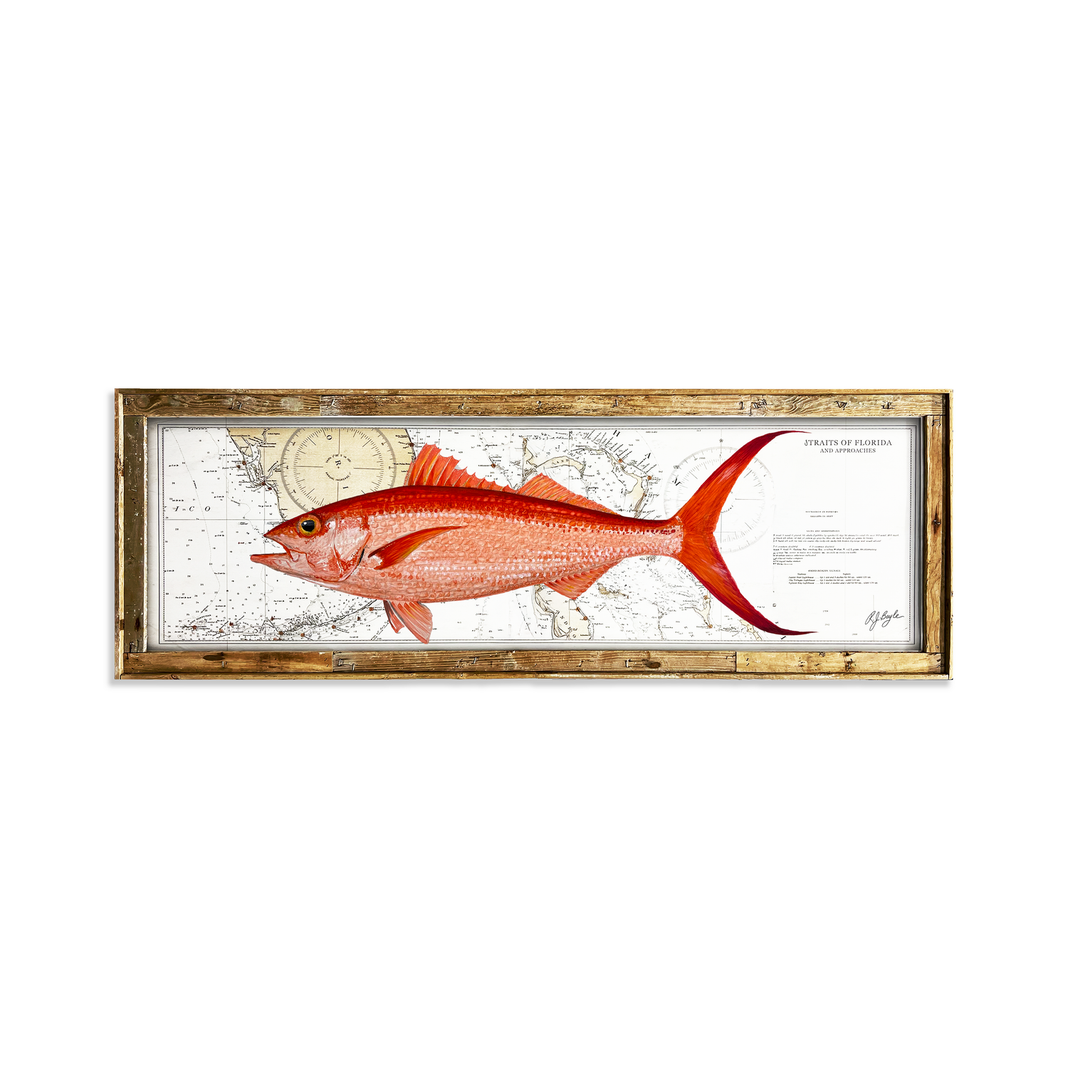 Queen Snapper Biological: Straits of Florida