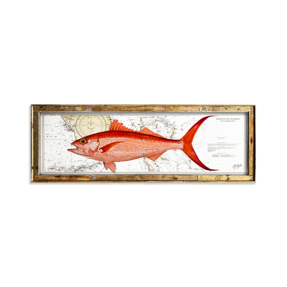 Queen Snapper Biological: Straits of Florida