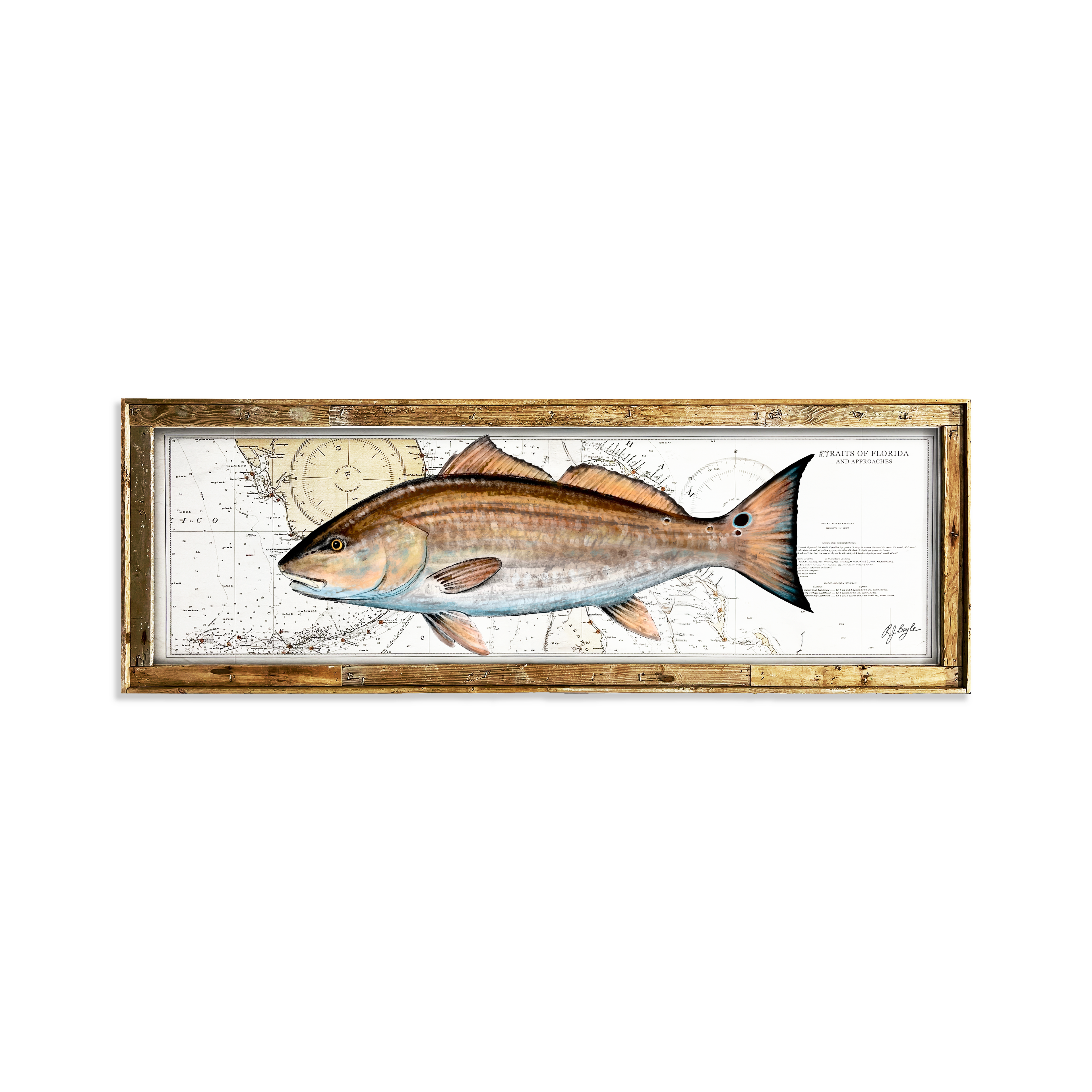 Redfish Biological: Straits of Florida