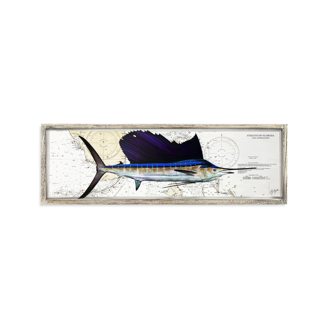 Sailfish Biological: Straits of Florida