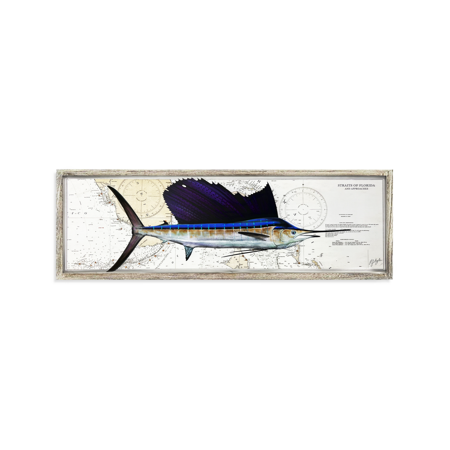Sailfish Biological: Straits of Florida