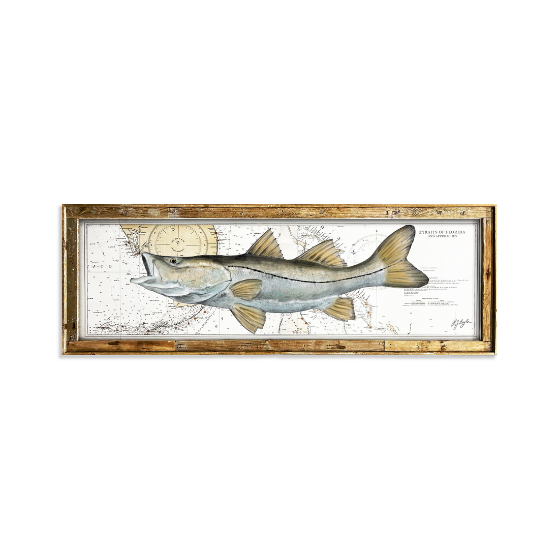 Snook Biological: Straits of Florida