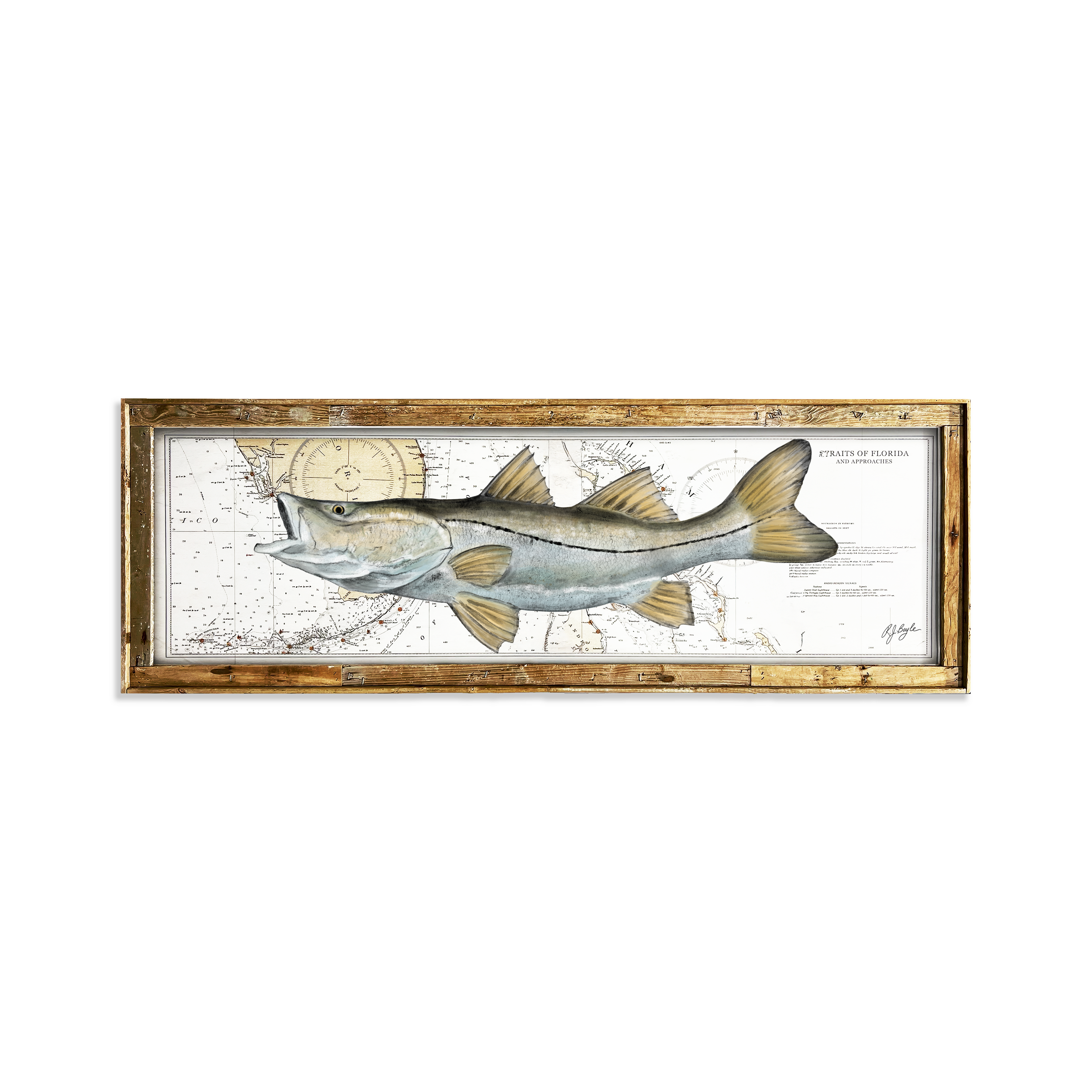 Snook Biological: Straits of Florida