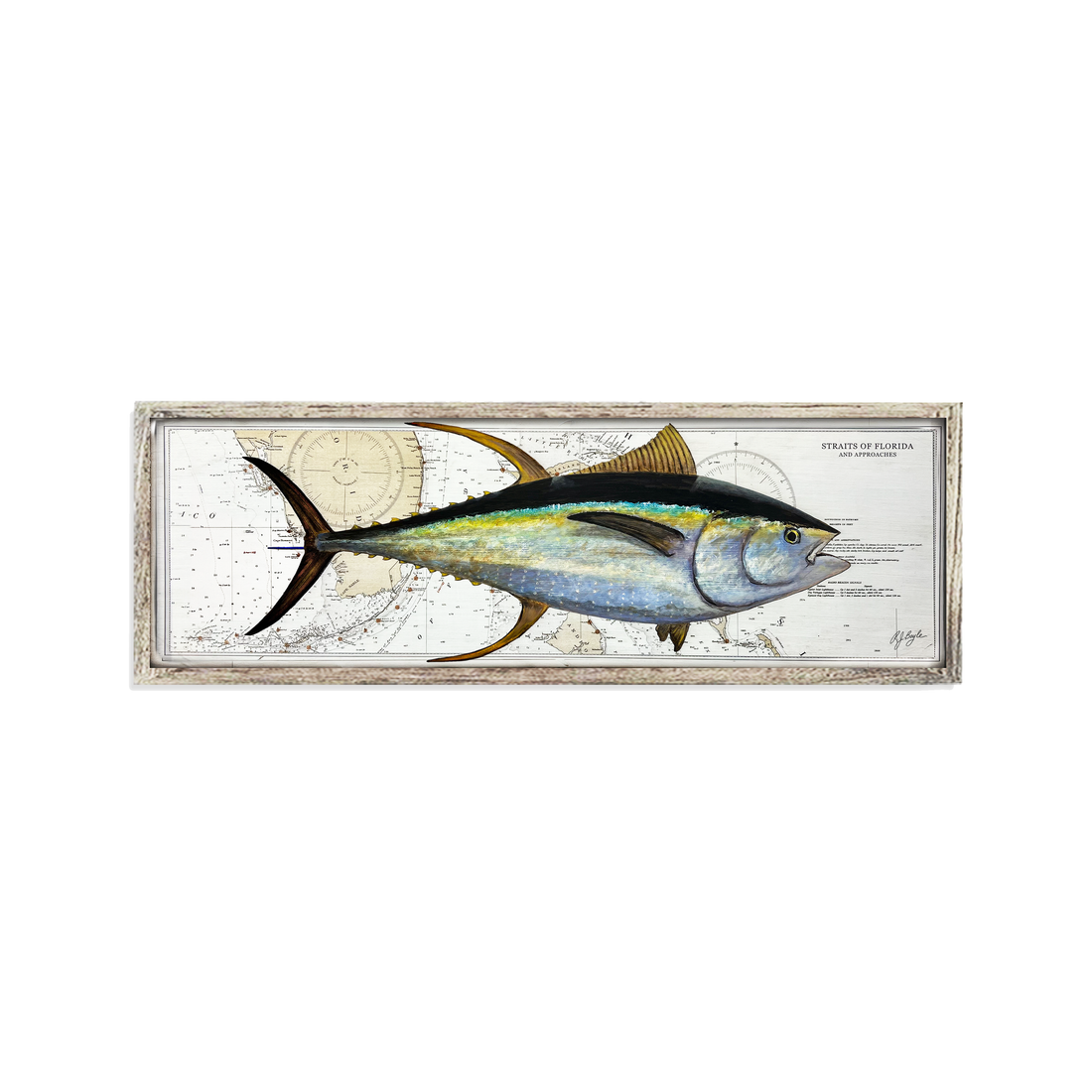 Yellowfin Tuna Biological: Straits of Florida