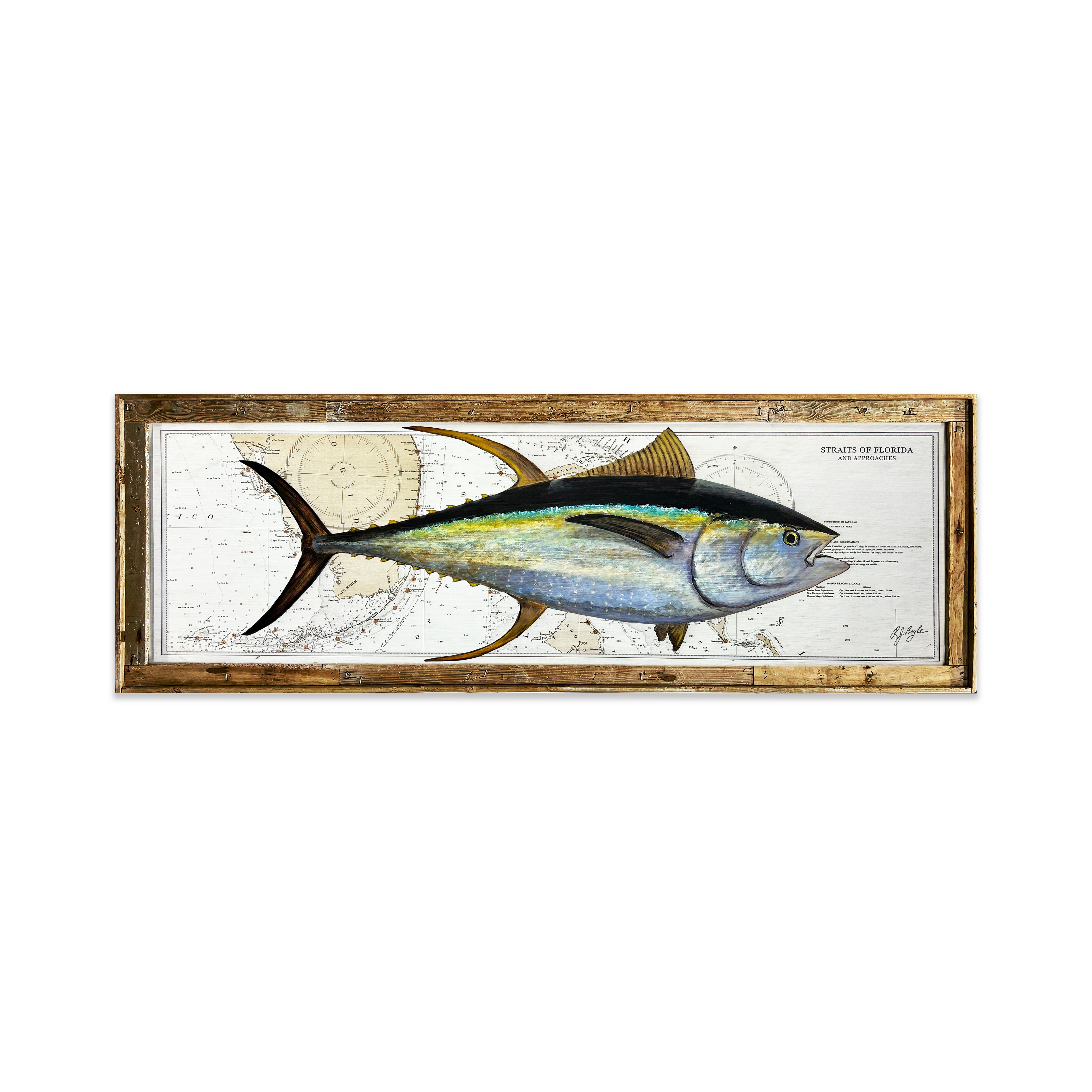 Yellowfin Tuna Biological: Straits of Florida