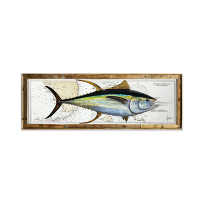 Yellowfin Tuna Biological: Straits of Florida