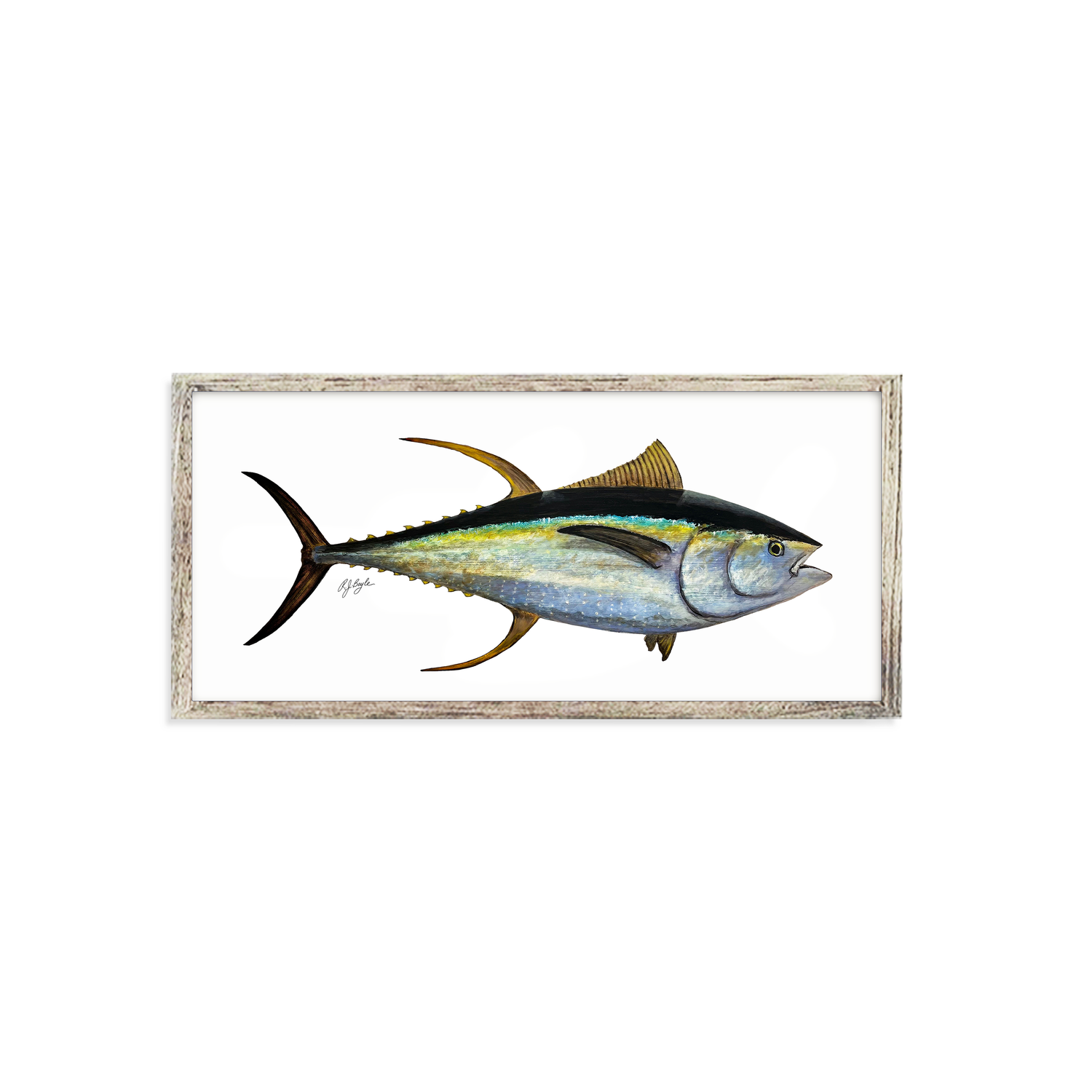 Yellowfin Tuna Biological