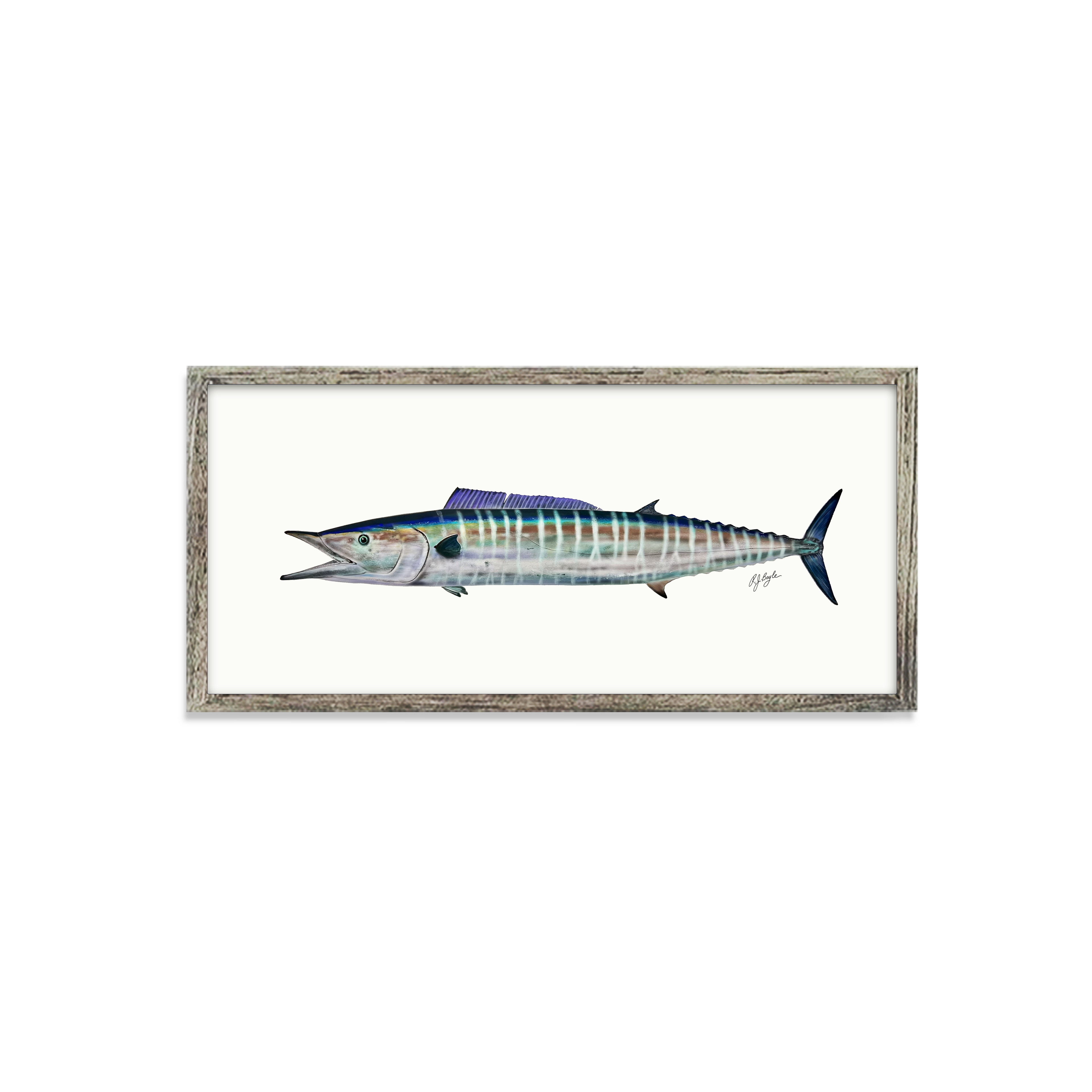 Wahoo Biological