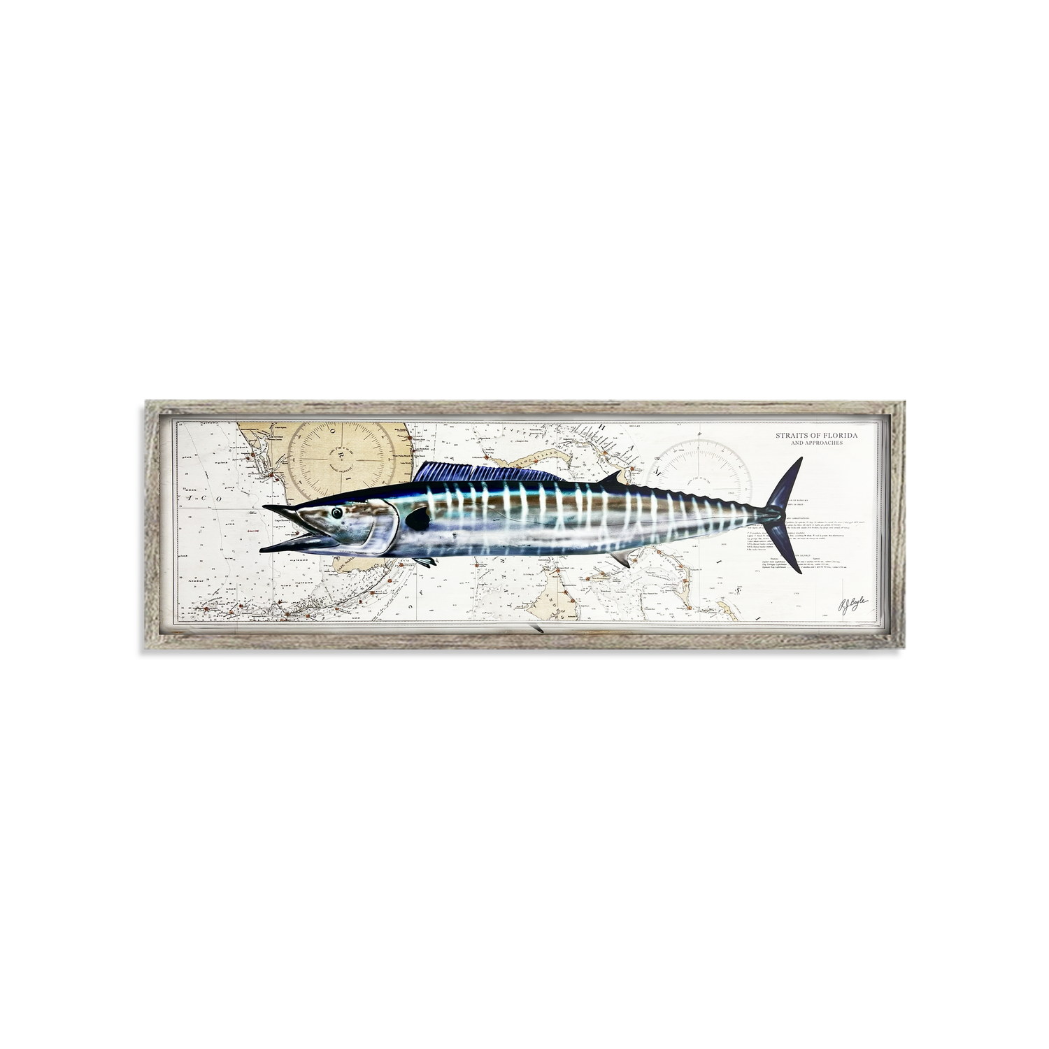 Wahoo Biological: Straits of Florida