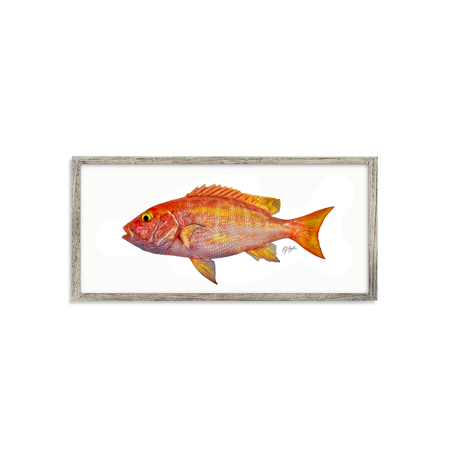 Yellow Eye Snapper Biological