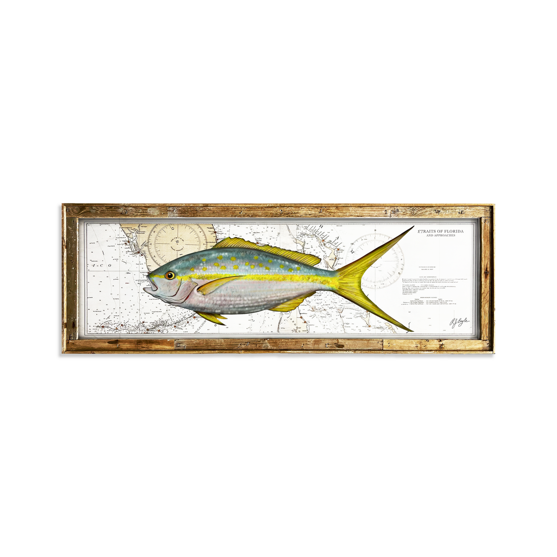 Yellowtail Snapper Biological: Straits of Florida