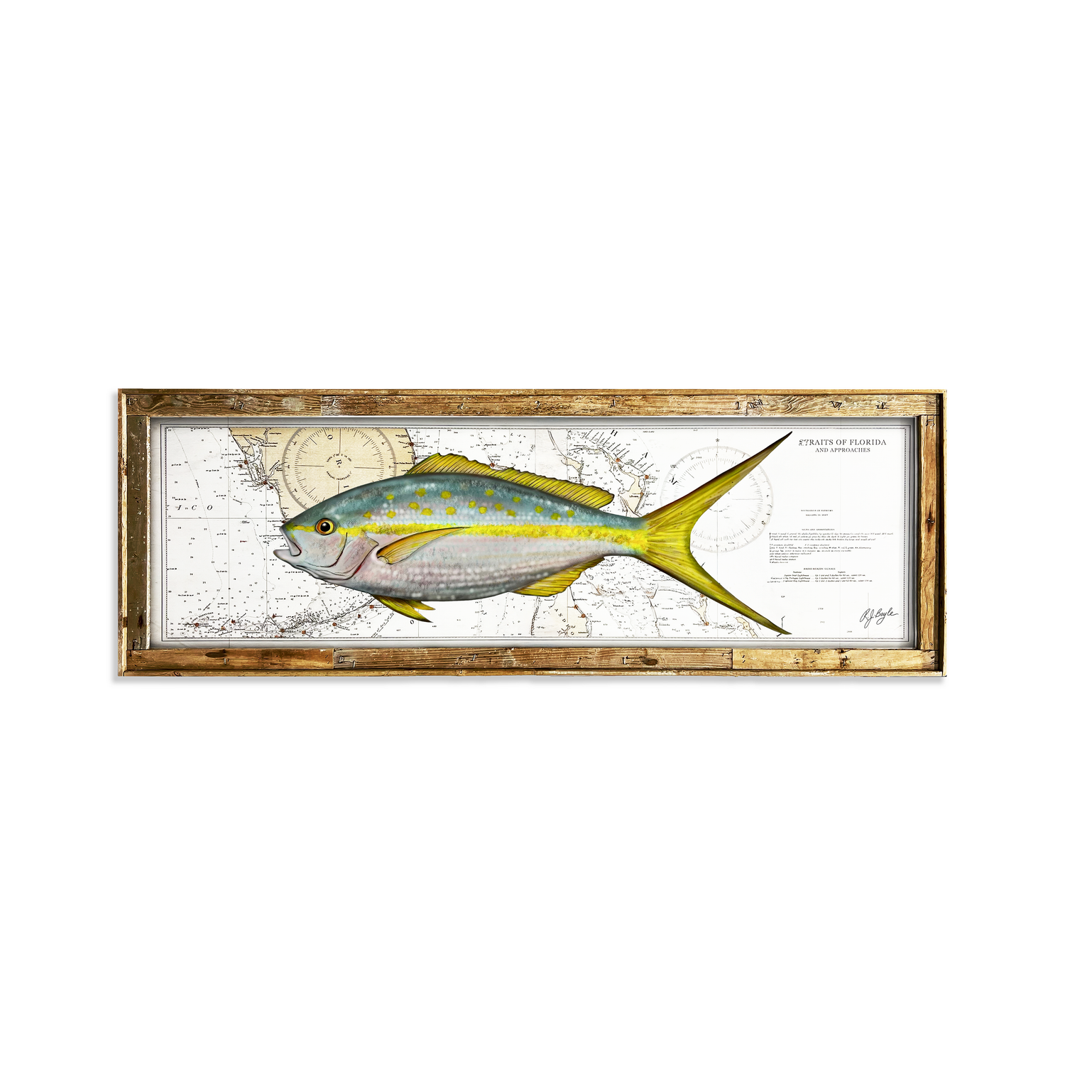 Yellowtail Snapper Biological: Straits of Florida