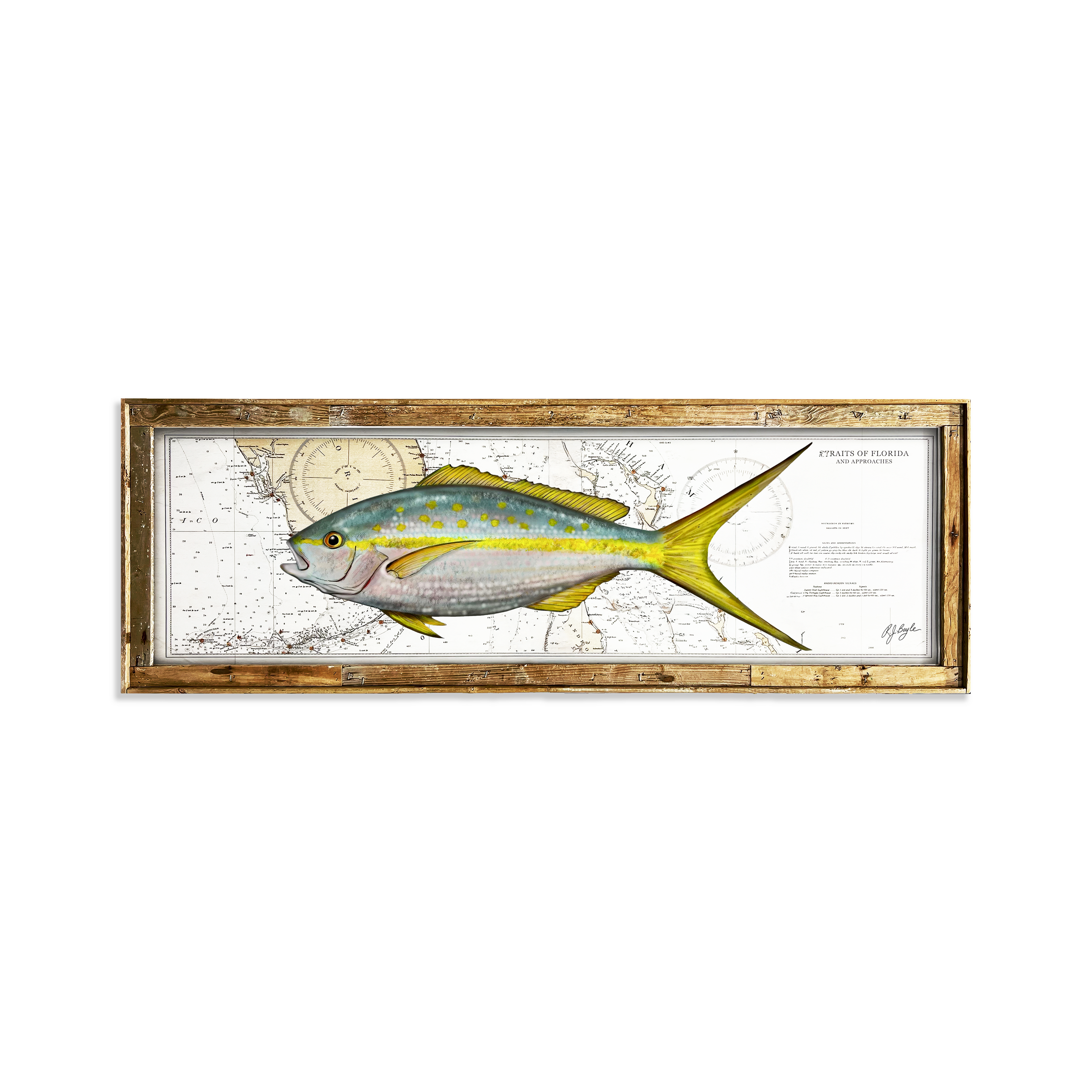 Yellowtail Snapper Biological: Straits of Florida